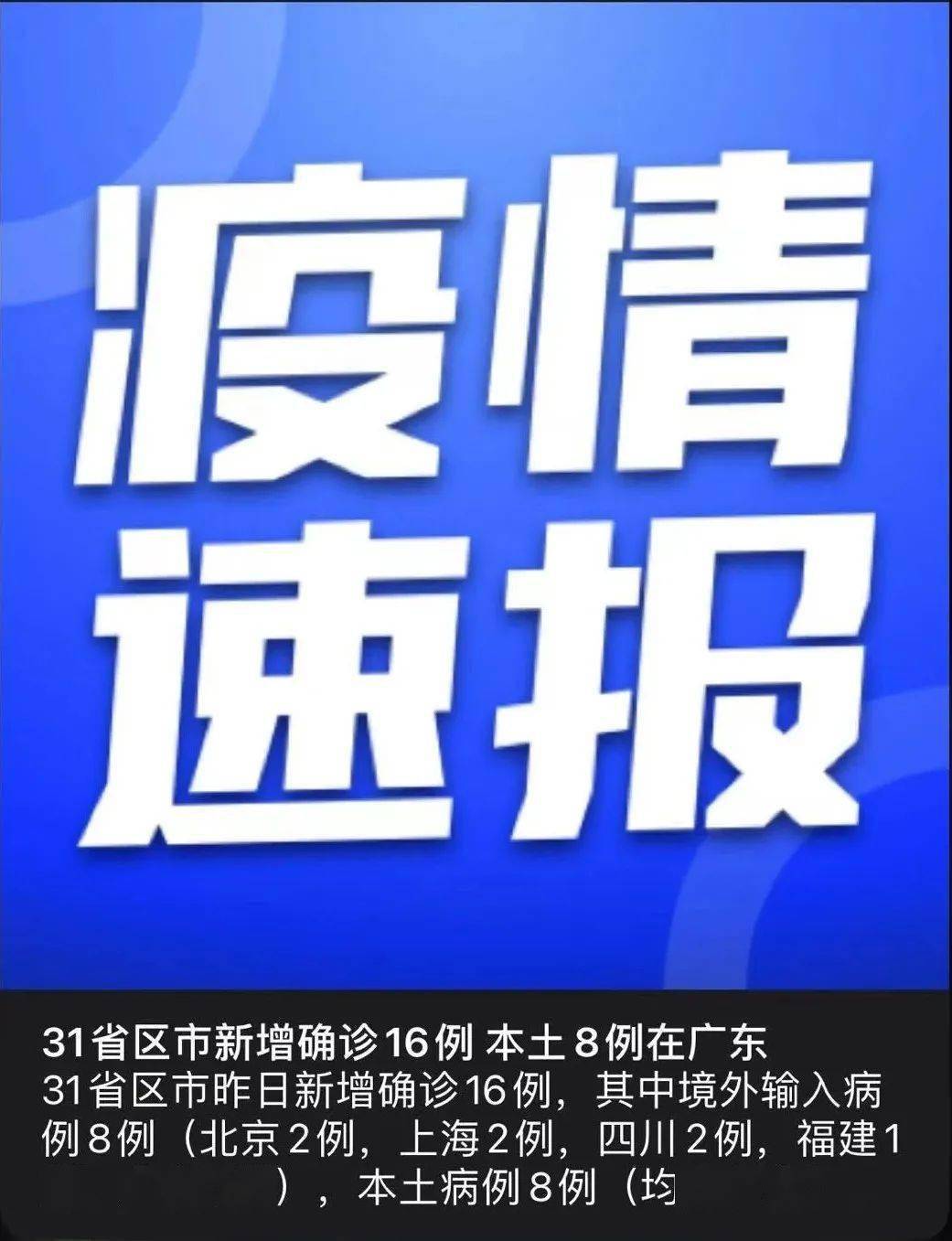 全球新冠疫情最新播报，态势分析与应对策略揭秘