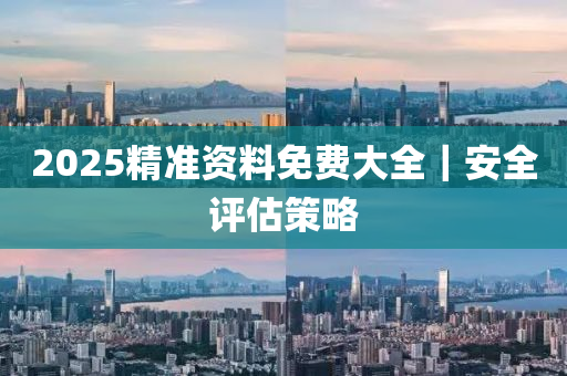 2025精准资料免费提供安全策略评估方案