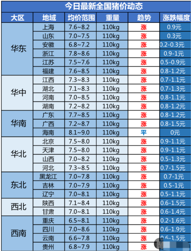 全国最新猪价表与影响因素深度解析