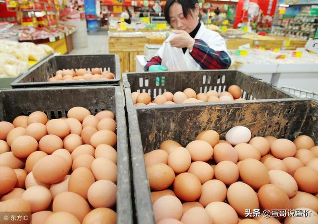 北京鸡蛋价格最新动态解析