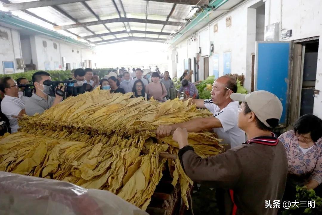 老区改造重塑历史脉络，城市焕发新活力