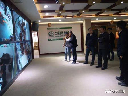 大田最新文件揭秘，农业现代化的核心驱动力引领发展之路