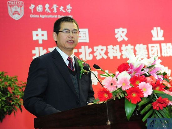 邵根伙现状深度解析，最新动态与影响