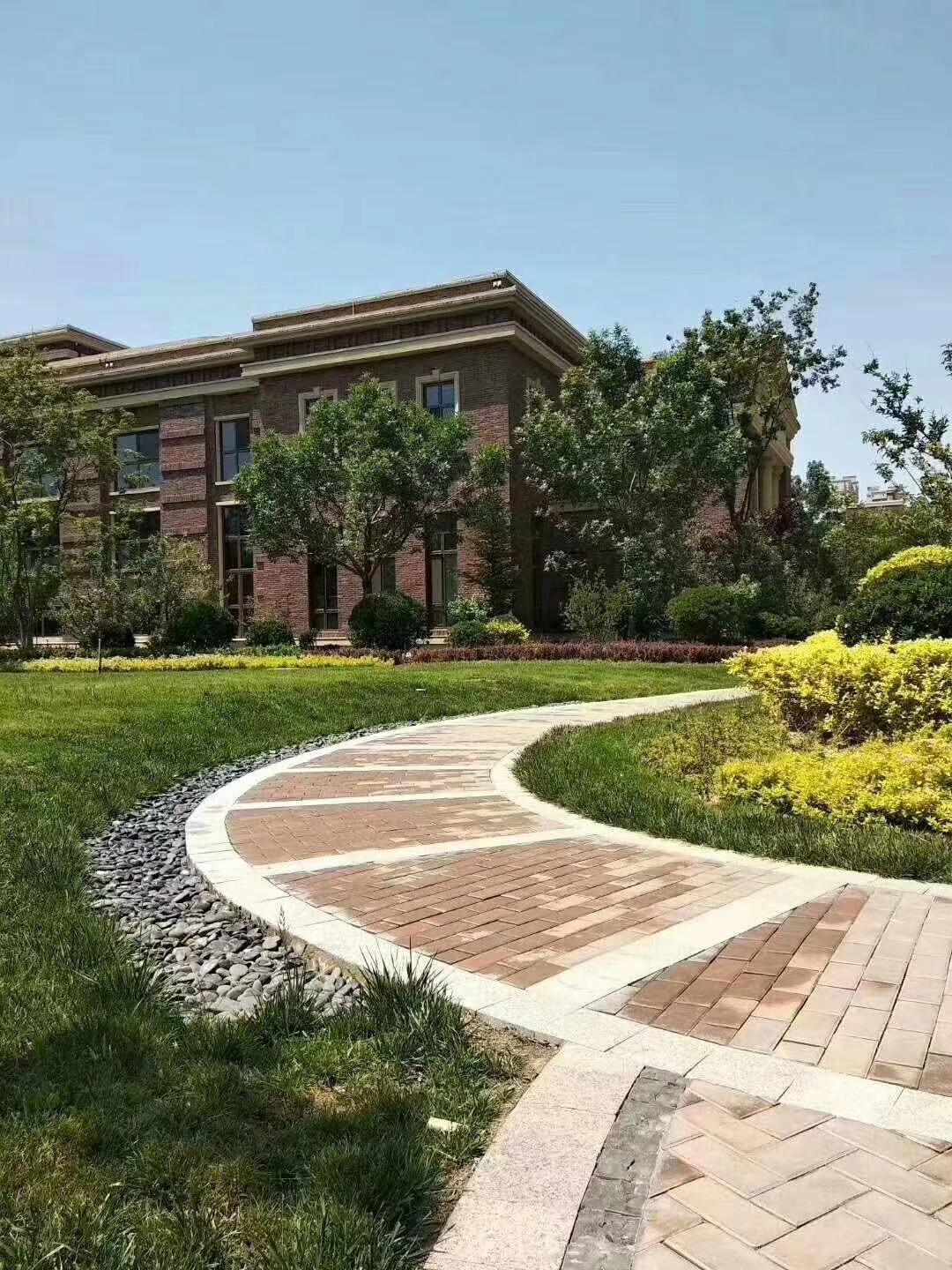 白沟市最新楼盘，未来城市新地标探索