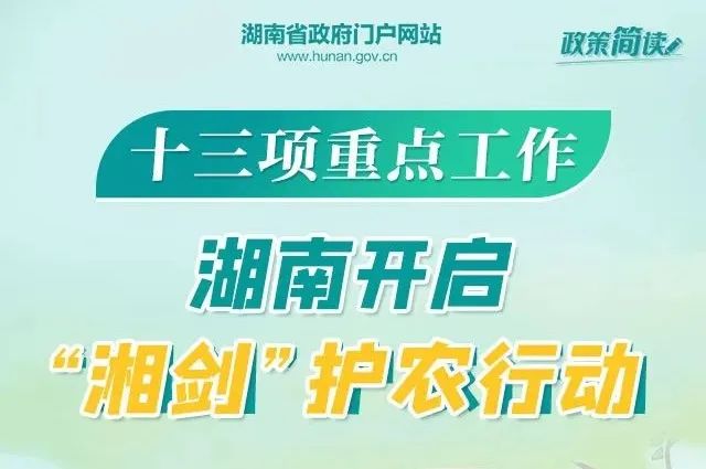 中矿最新招聘动态与职业发展机遇概览