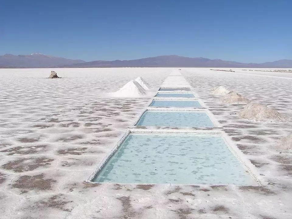 仉阳泽