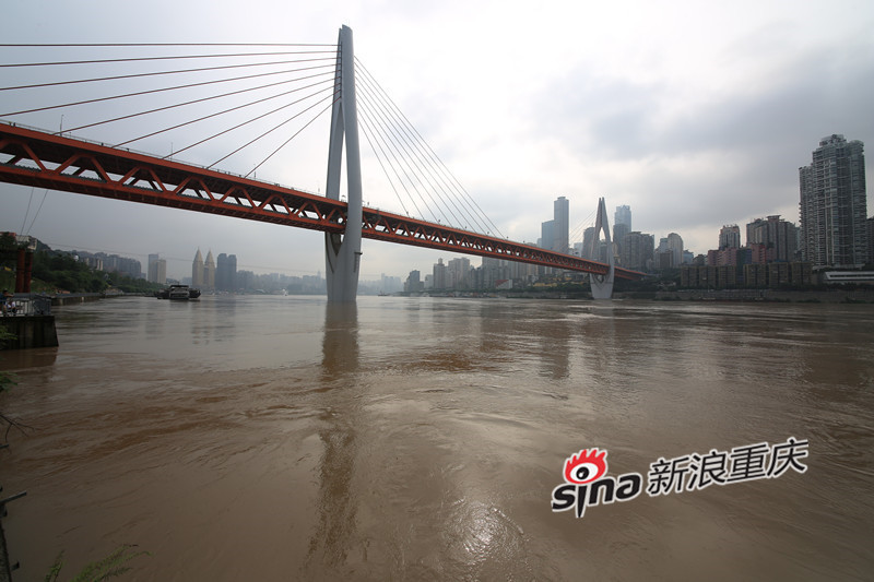 晓跃